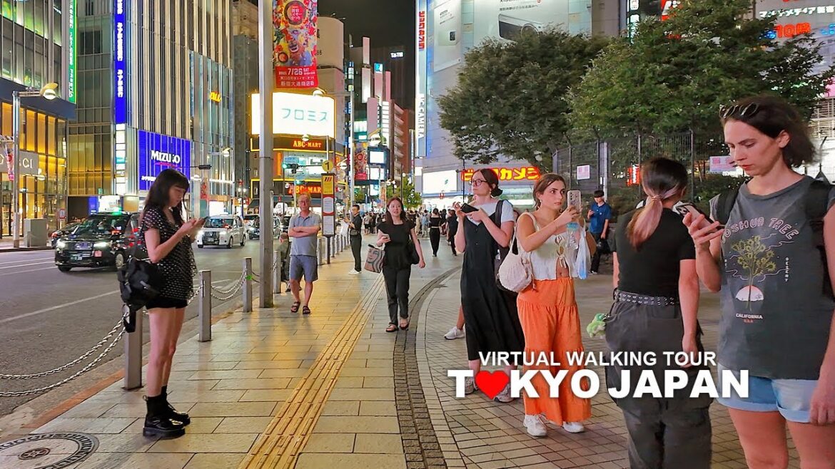 Tokyo Summer Evening Walk, Shinjuku, Japan, Travel, 4K Tokyo Summer Evening Walk, Shinjuku, Japan, Travel, 4K
