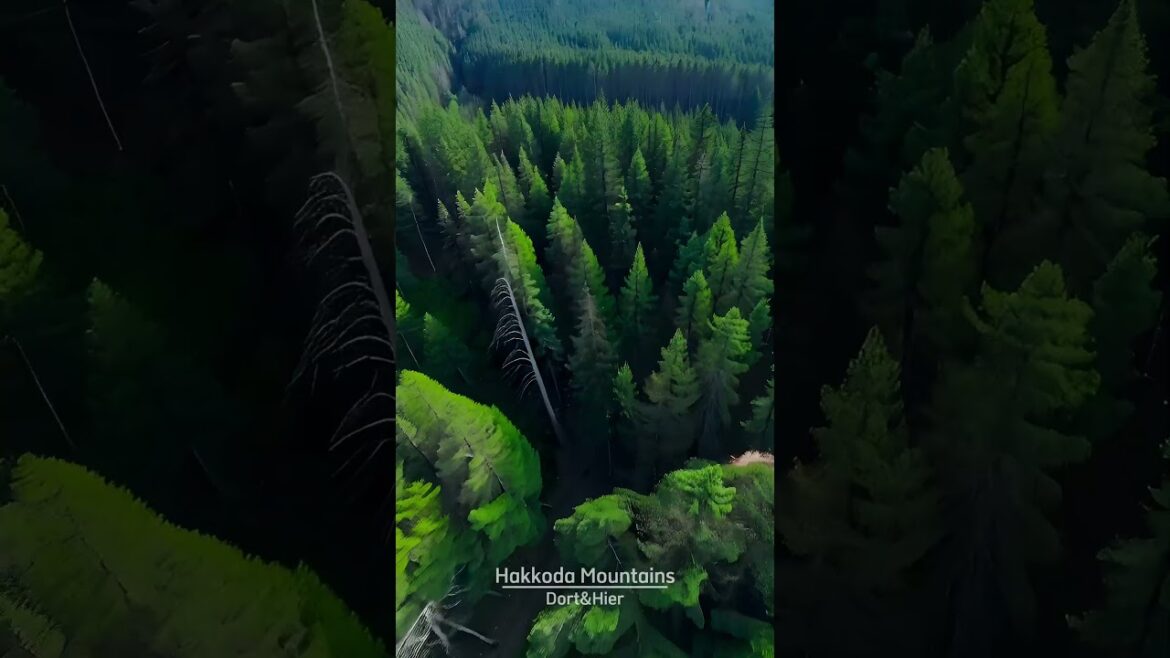 Travel in Japan – Hakkōda Mountains (八甲田山)