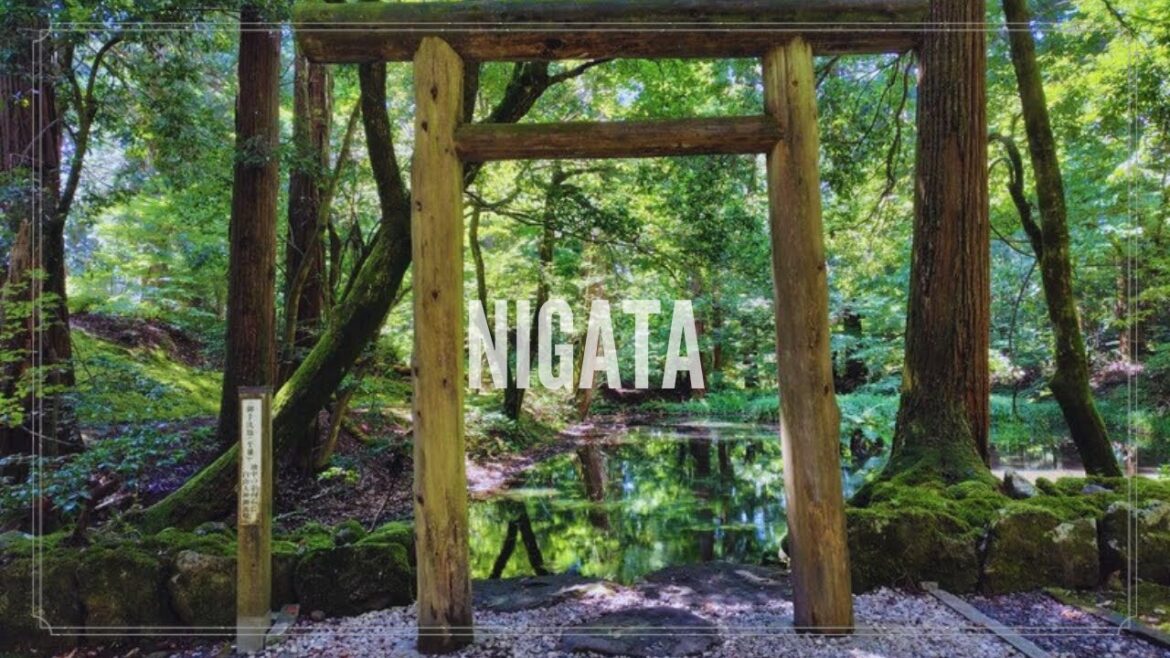 【新潟/福井 夏旅行】夏の絶景とグルメ満喫旅|Niigata Summer Travel Vlog 【新潟/福井 夏旅行】夏の絶景とグルメ満喫旅|Niigata Summer Travel Vlog