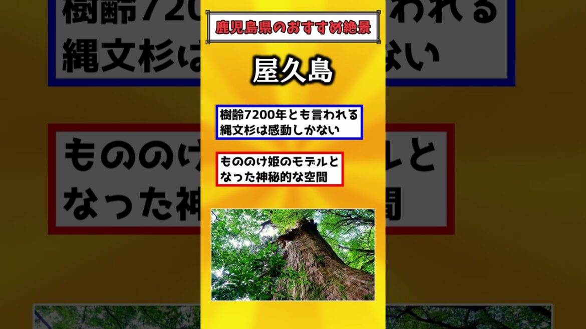 【有益】鹿児島県のおすすめ絶景スポット!!#国内 #国内旅行 #旅行 #雑学 #おすすめにのりたい #おすすめ 【有益】鹿児島県のおすすめ絶景スポット!!#国内 #国内旅行 #旅行 #雑学 #おすすめにのりたい #おすすめ
