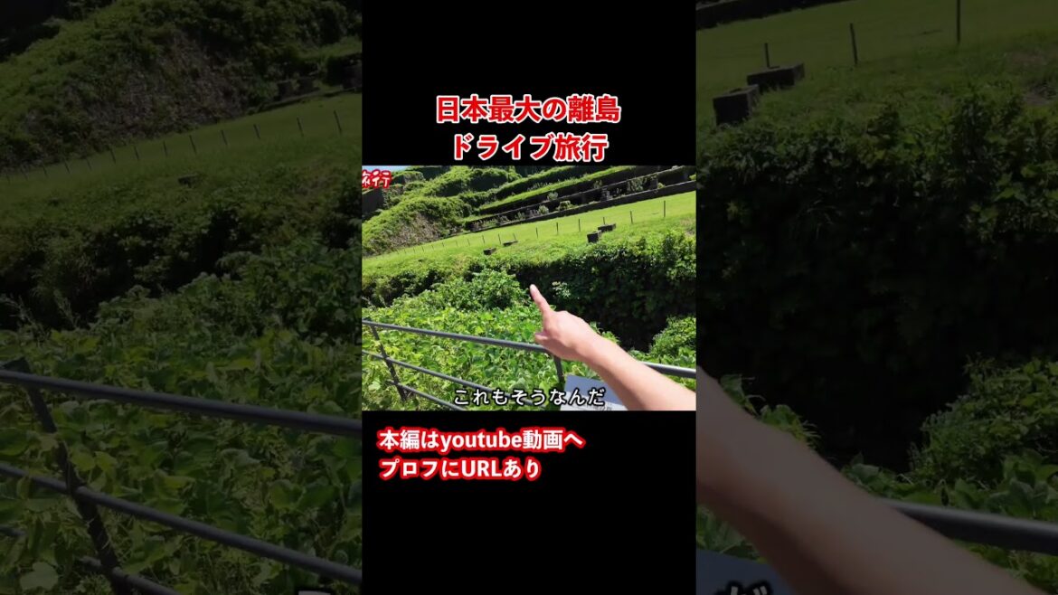 【新潟観光】佐渡のラピュタ!佐渡島のグルメと観光を巡るドライブ旅行 #旅行vlog #ドライブ旅行 #佐渡島 【新潟観光】佐渡のラピュタ!佐渡島のグルメと観光を巡るドライブ旅行 #旅行vlog #ドライブ旅行 #佐渡島