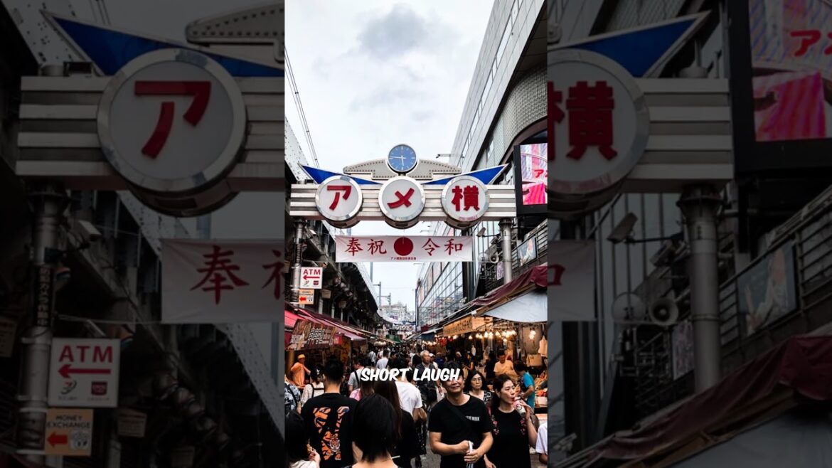 JAPAN : “5 Hidden Gems in OSAKA You’ll Regret Missing!” MUST VISIT PLACES !!!!! JAPAN : “5 Hidden Gems in OSAKA You’ll Regret Missing!” MUST VISIT PLACES !!!!!