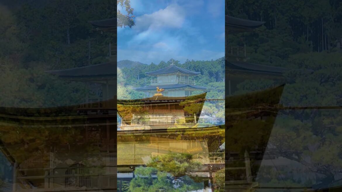 Is This Japan's Most Beautiful Temple? 🇯🇵 #Japan #travel