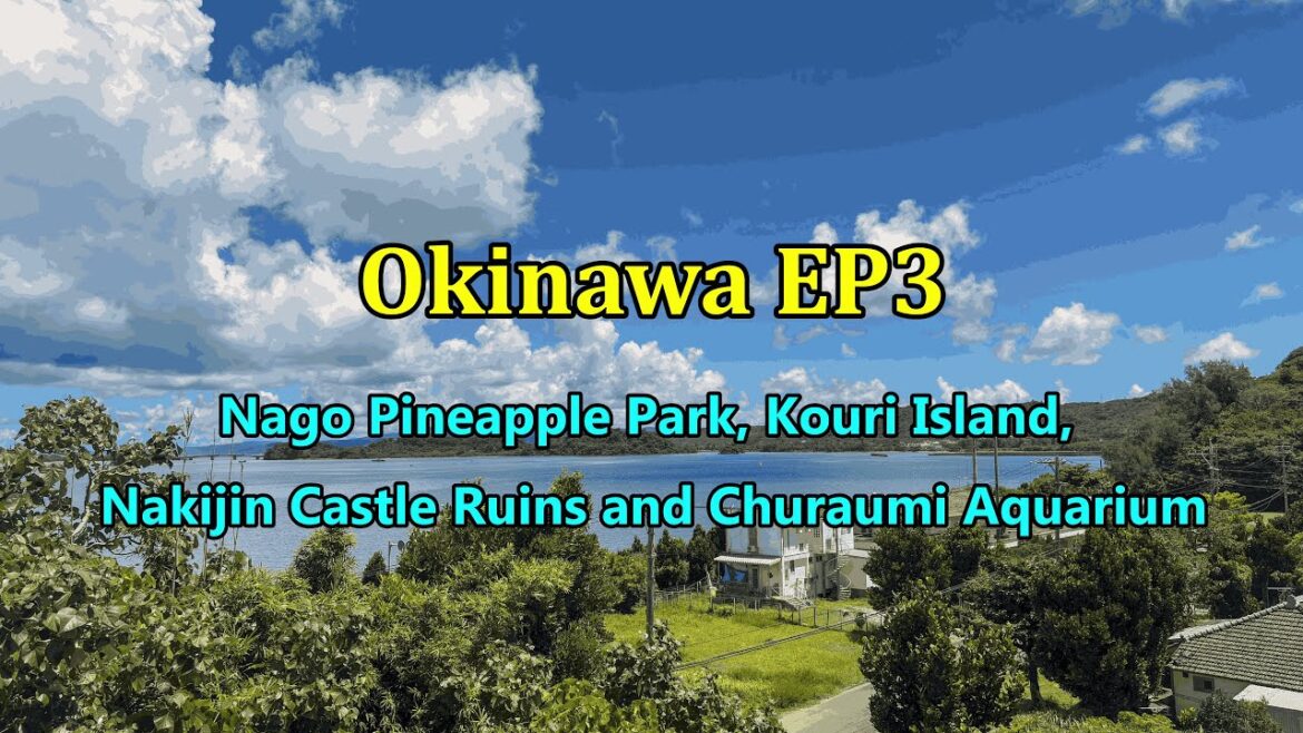 Okinawa EP3: Nago Pineapple Park, Kouri Island, Nakijin Castle Ruins and Churaumi Aquarium Okinawa EP3: Nago Pineapple Park, Kouri Island, Nakijin Castle Ruins and Churaumi Aquarium