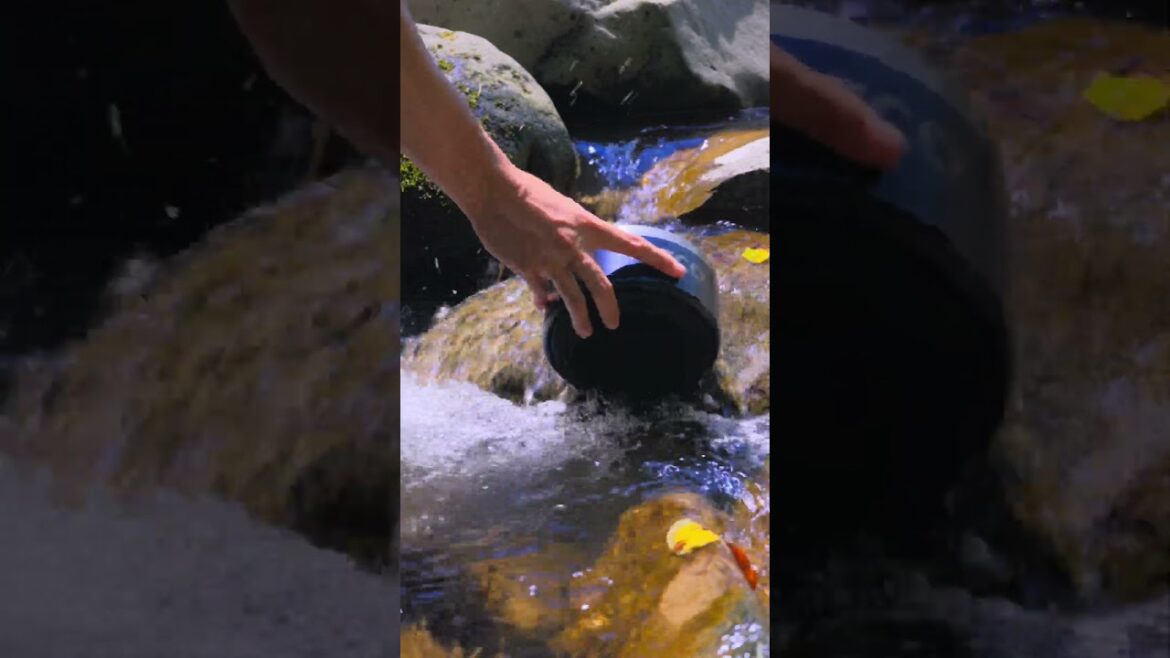 NSX camping day51 ASMR short #automobile #japanesecamp #asmr #camping #nsxdrive #camp