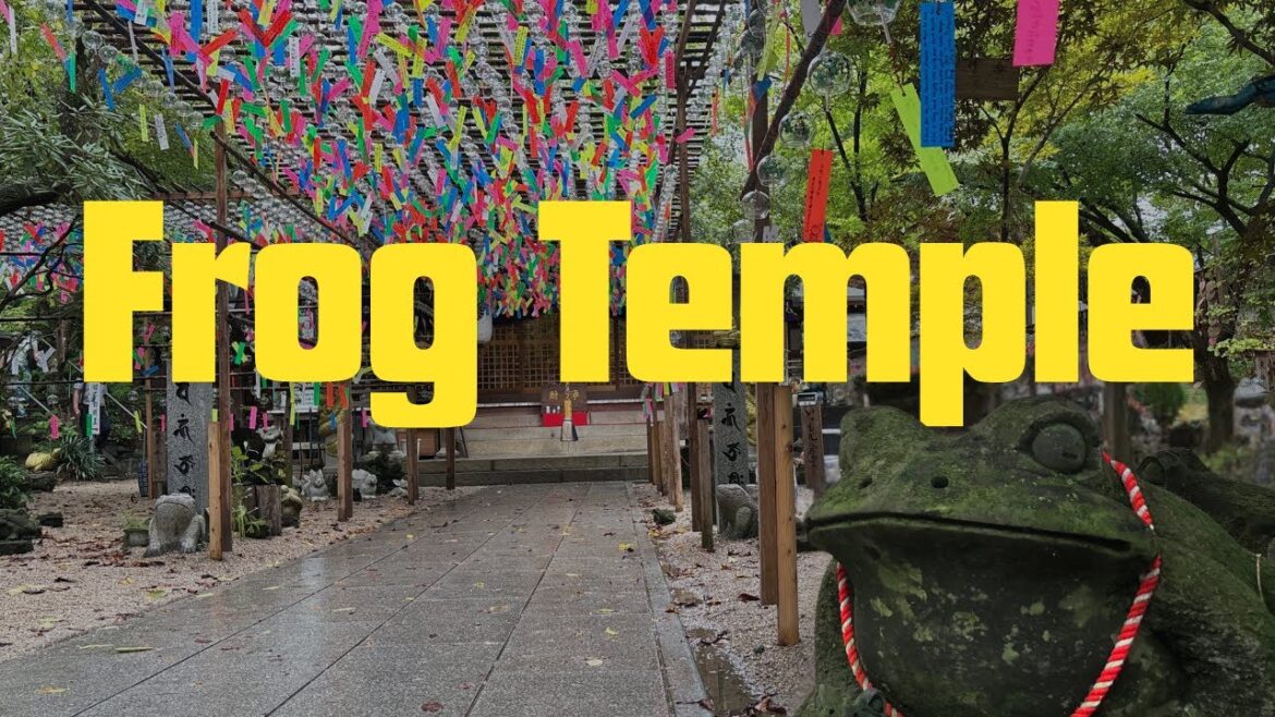 Frog Temple Walk – Hidden Statues & Peaceful Vibes | Fukuoka