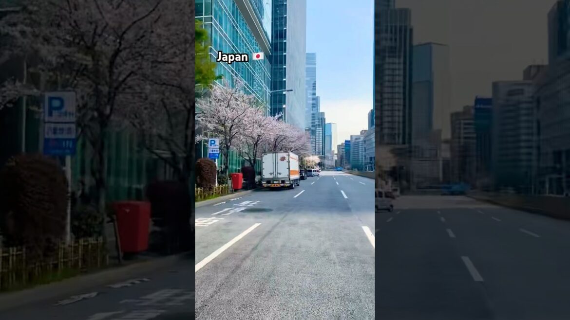 Japan #shortvideo #travel #shortsfeed #japan #vacation #road #tokyo #tour #street #shorts