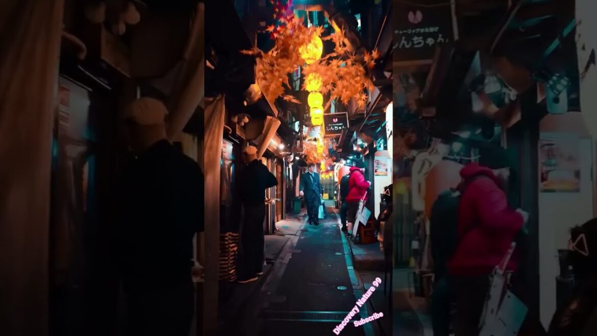 Japan🇯🇵 #youtubeshorts #travel #fc24 #old #1999年03月14日生まれ23歳 #2025shorts #beautiful #viral #travel Japan🇯🇵 #youtubeshorts #travel #fc24 #old #1999年03月14日生まれ23歳 #2025shorts #beautiful #viral #travel