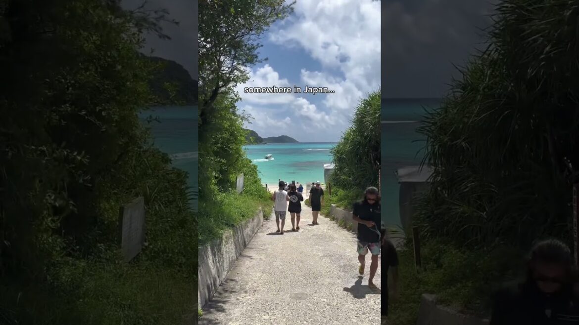 #okinawa #japan #travel