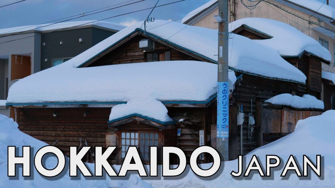 北海道  1 Day Trip in  Hokkaido Japan