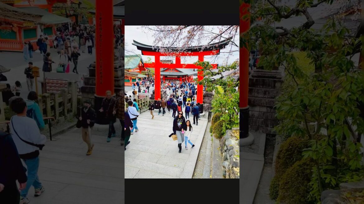 🇯🇵 Japan 🇯🇵 Day 5 & 6 to Kyoto & Osaka #japan #mftravels #kyoto #osaka #kenyouseeme