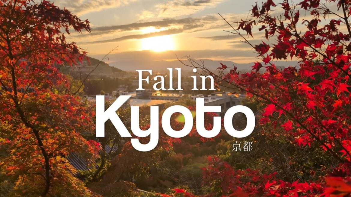 Fall in Kyoto | Day Trips to Arashiyama and Uji, Philosopher's Path Temples | Japan Travel Vlog