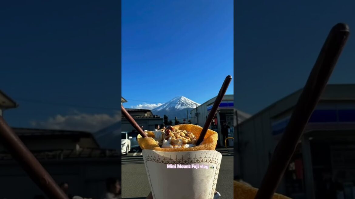 Mini mount Fuji vlog 🏔️ Melbourne to Delhi to Japan 🎀❤️ Travel love #lifestyle #travel #love #vlog