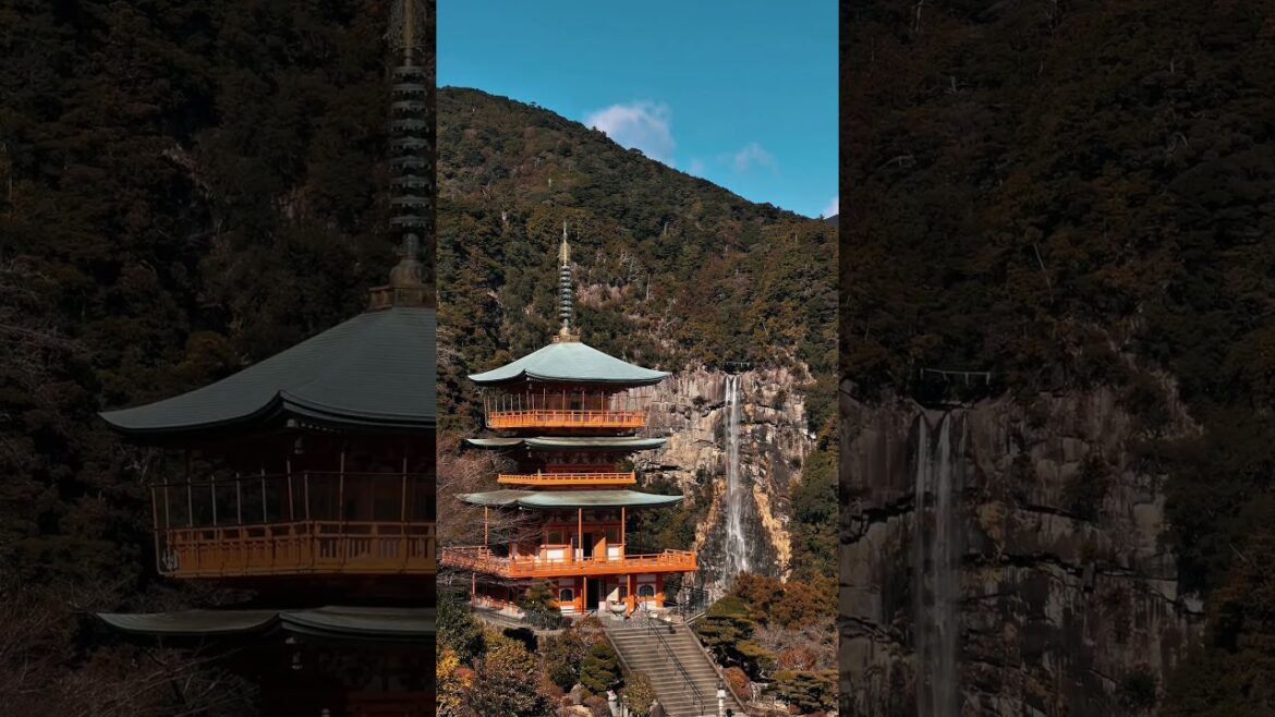 🤩🇯🇵 One of the Best View in Japan! Welcome to Nachi Falls in Wakayama Prefecture