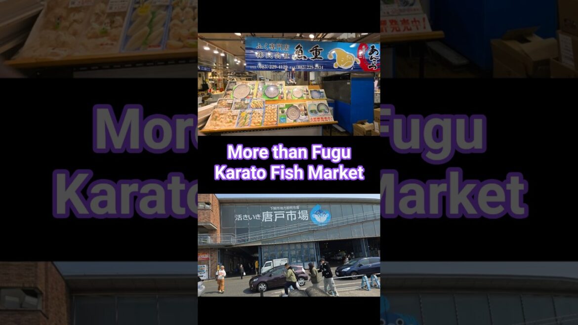 More Than Fugu: A Culinary and Scenic Journey to Karato Fish Market #japanesefood #fishmarket