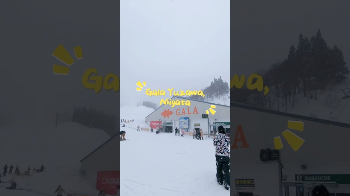Hari Ski di Gala Yuzawa! #travel #japan #jepun #galayuzawa #niigata