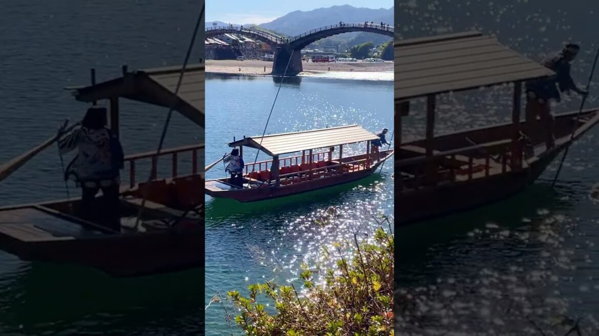 Iwakuni's Kintai Bridge: A Must-See Day Trip #shorts #Japan #iwakuni #hiroshima #travelblog