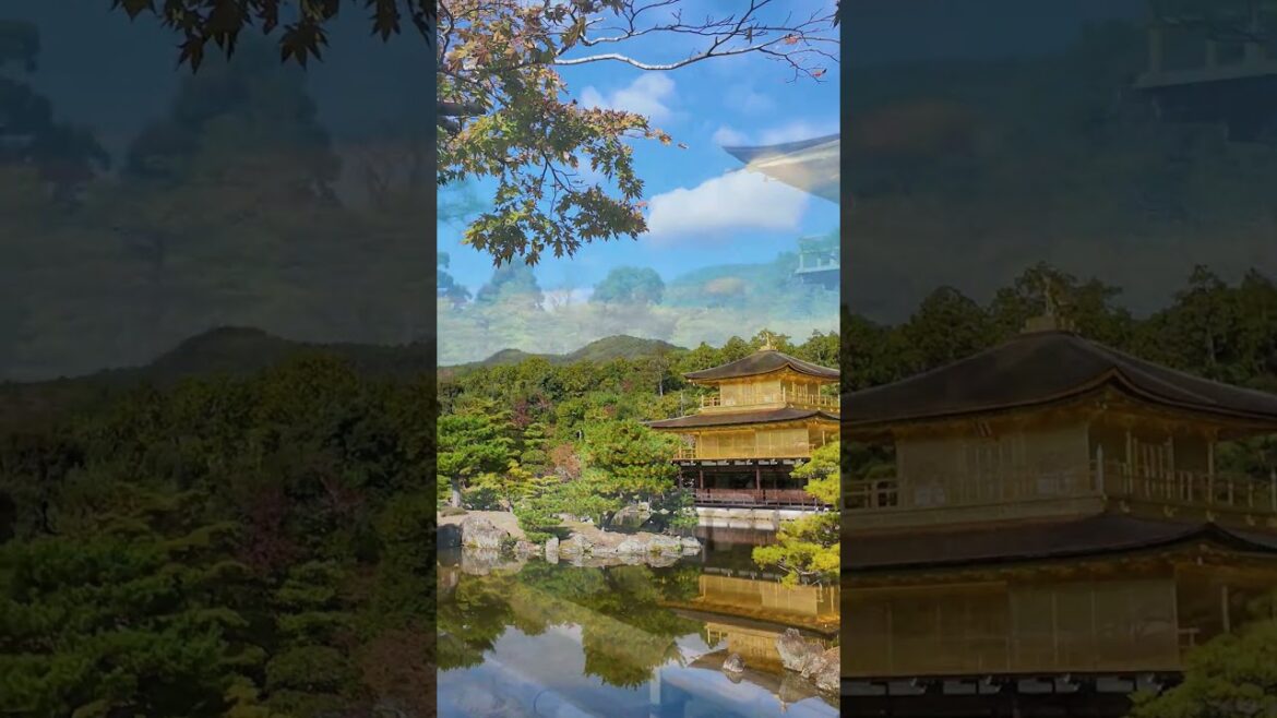 Want to See Japan's Most BEAUTIFUL Temple? 🇯🇵 #japan #travel