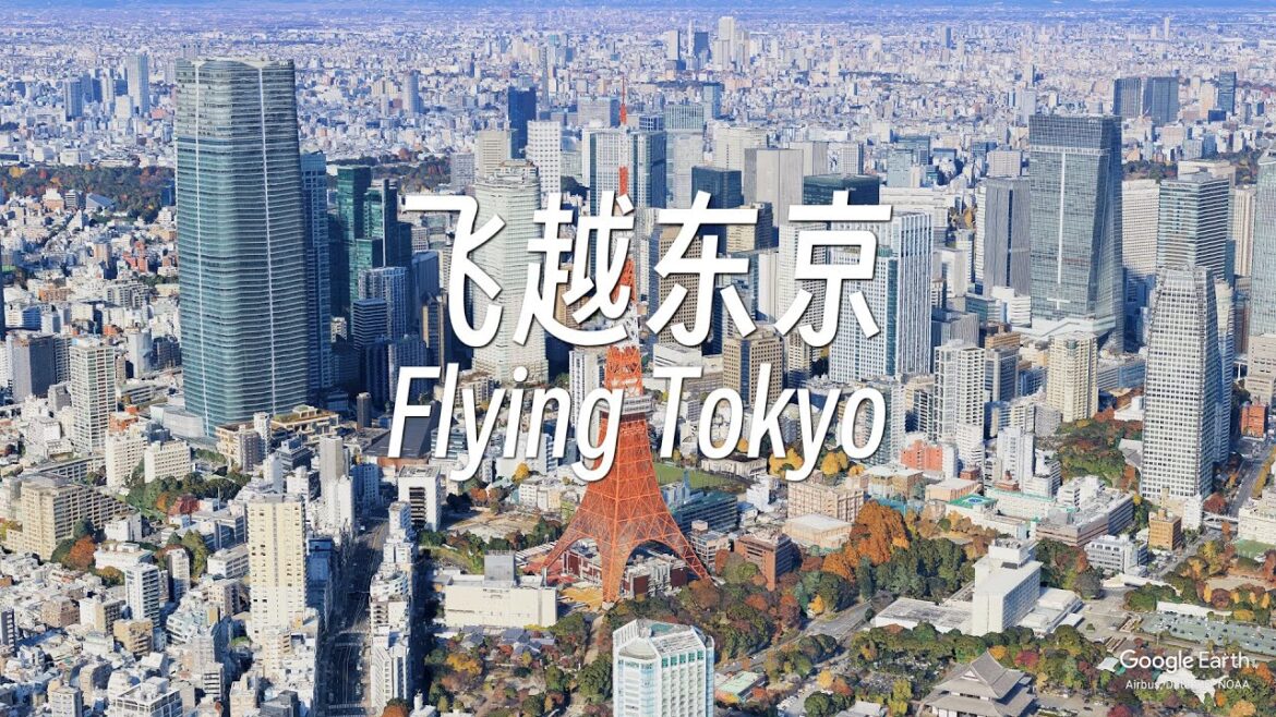 Flying Tokyo,Tour Tokyo from the air