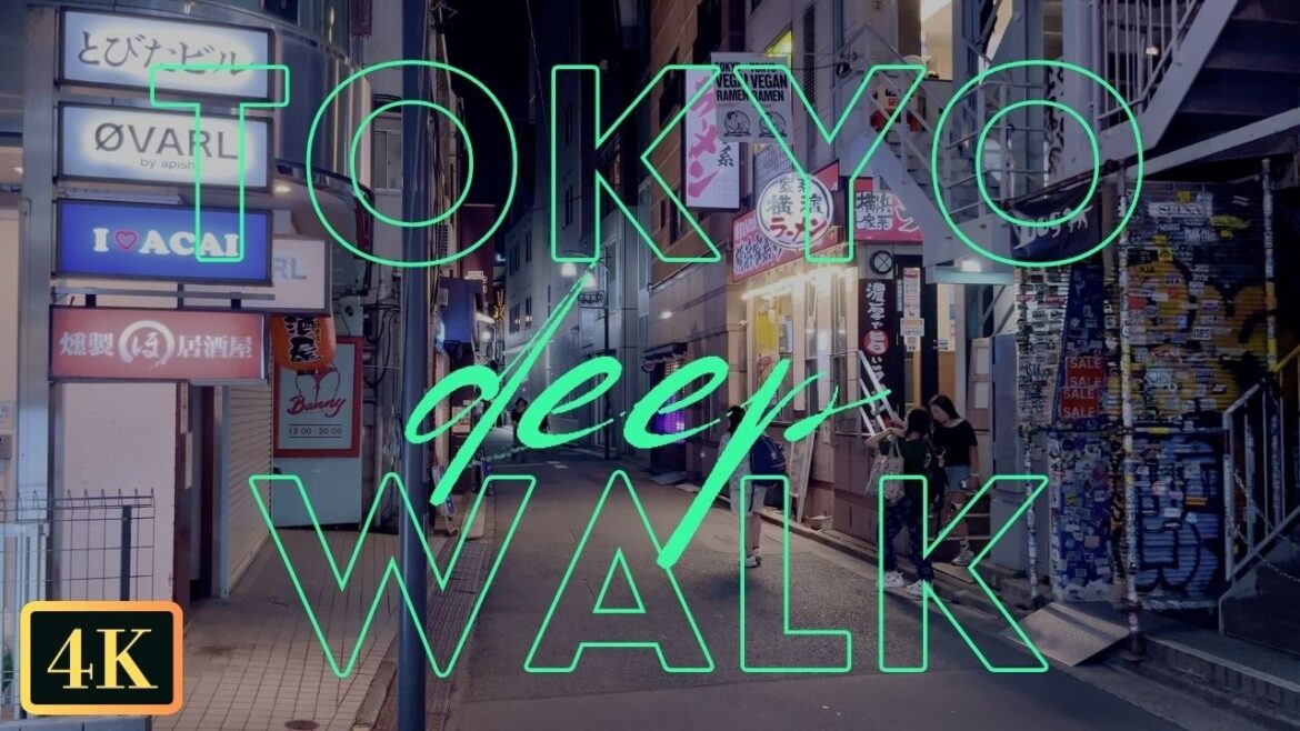 Tokyo Summer Night Walk in Shinjuku City, Japan • 4K HDR Tokyo Summer Night Walk in Shinjuku City, Japan • 4K HDR