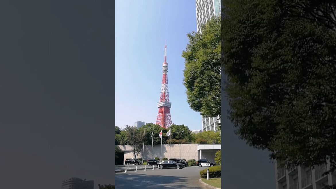 DOWNTOWN 🇯🇵 TOKYO 🚘 東京 DOWNTOWN 🇯🇵 TOKYO 🚘 東京