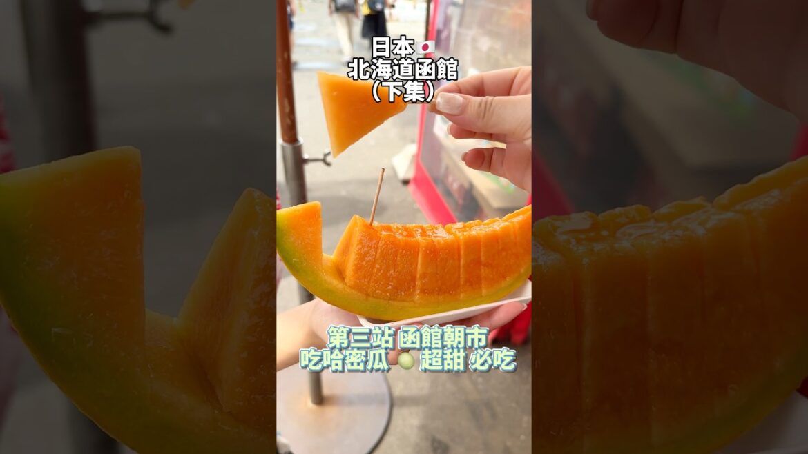 函館亂亂吃 #japan #hakodate #hokkaido #美食 #food #travel #vlog