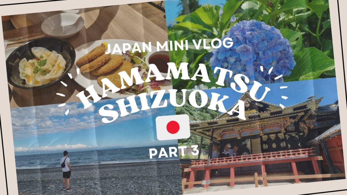 Hamamatsu Shizuoka in July 2025 part 3 | Japan Vlog