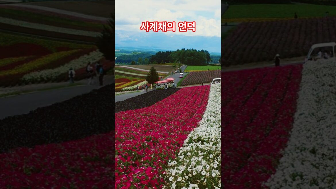 꼭 가봐야 할 북해도 여행지