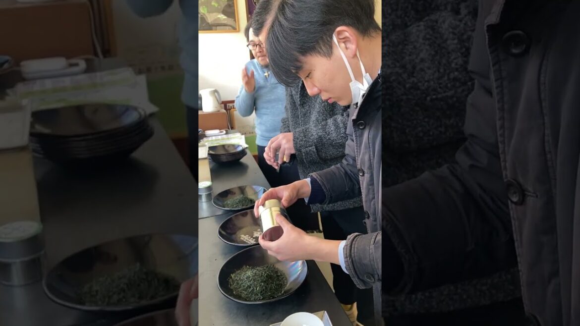 【静岡茶町飲み比べツアー】お茶屋の道具「見本缶」　海野兼太郎商店