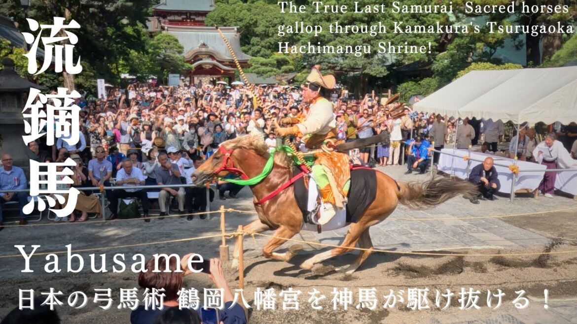The True Last Samurai‼️Gallop through Kamakura Tsurugaoka Hachimangu Shrine with the Sacred Horse!