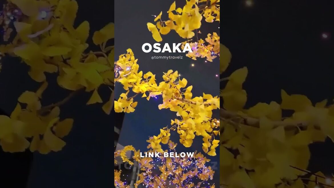 #tokyo #osaka #ohtani #kyoto #shibuya #ginza #onsen #shinjuku #soba #ramen #tokyotravel #japan