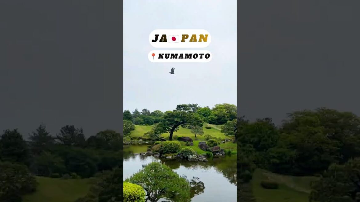 🇯🇵KUMAMOTO SUIZENJI JOJUEN Japanese Garden Paradise #travel #shorts #short #japan #kumamoto