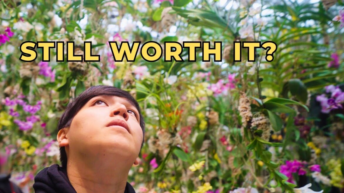 TeamLab Planets Tokyo: STILL Worth Visiting in 2025? Full Tour & Honest Review 🌸