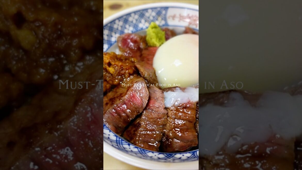 Must-Try Aso Beef Bowl 🇯🇵 #japan #travel #kumamoto