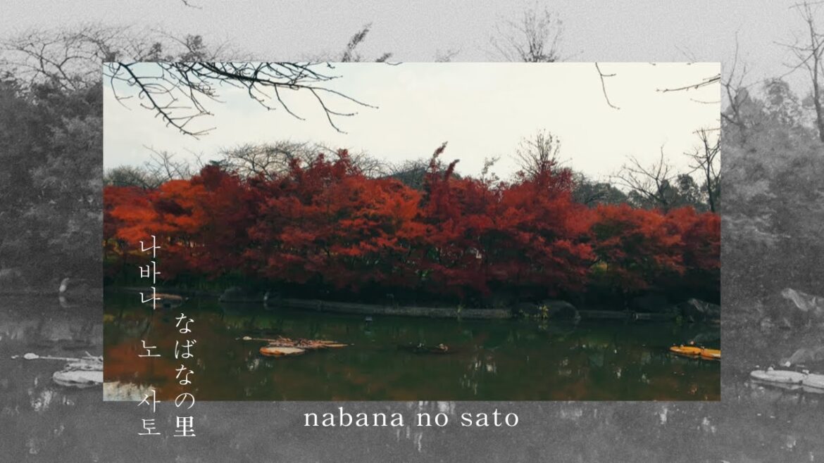 nabana no sato: japan’s flower village | nagoya travel series nabana no sato: japan's flower village | nagoya travel series