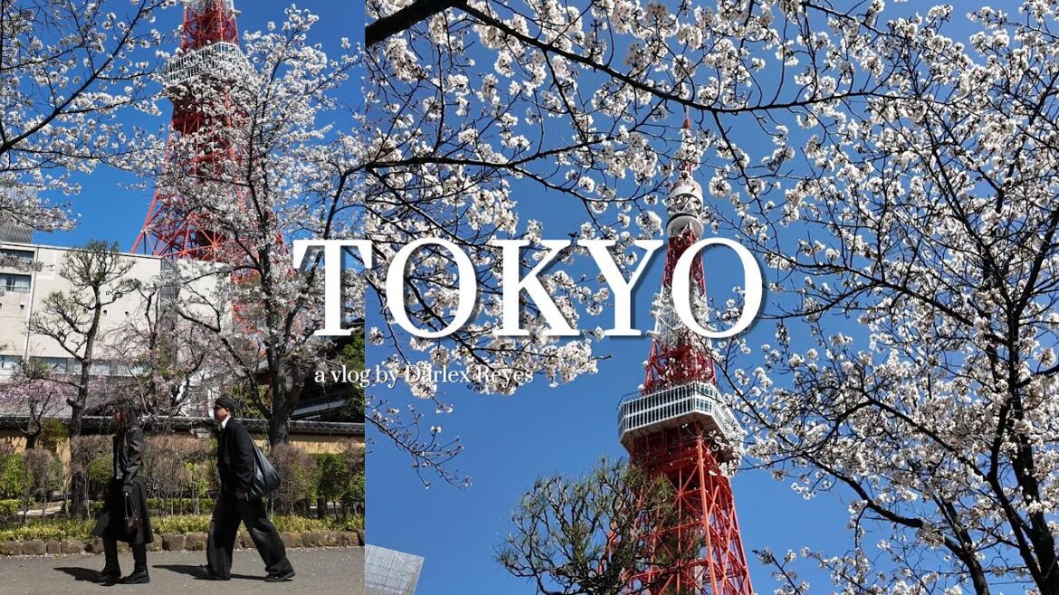 🇯🇵 Tokyo Adventures + Mount Fuji Day Trip | DIY Travel