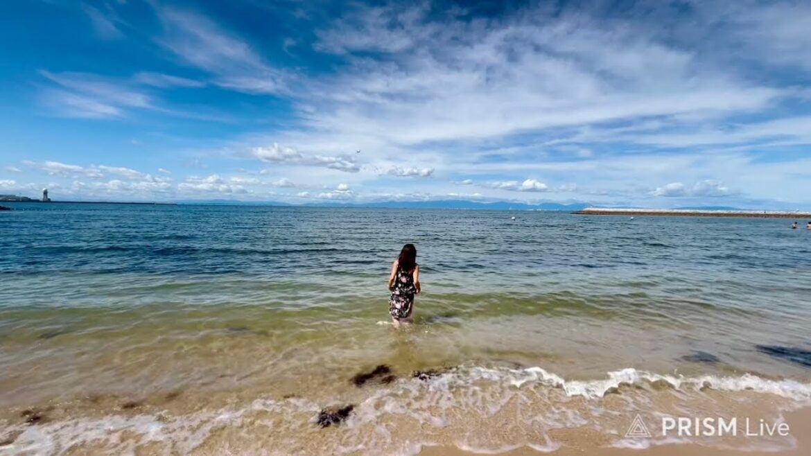 Beautiful Japanese Beach near Nagoya!🏝️ 常滑りんくうビーチ