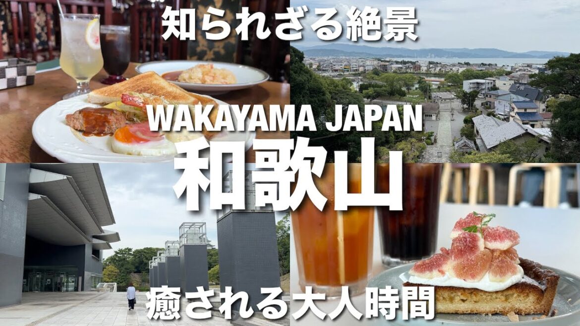 【和歌山旅行】大人の日帰り旅！ゆったりカフェと海の絶景、神社参拝を大満喫するVlog