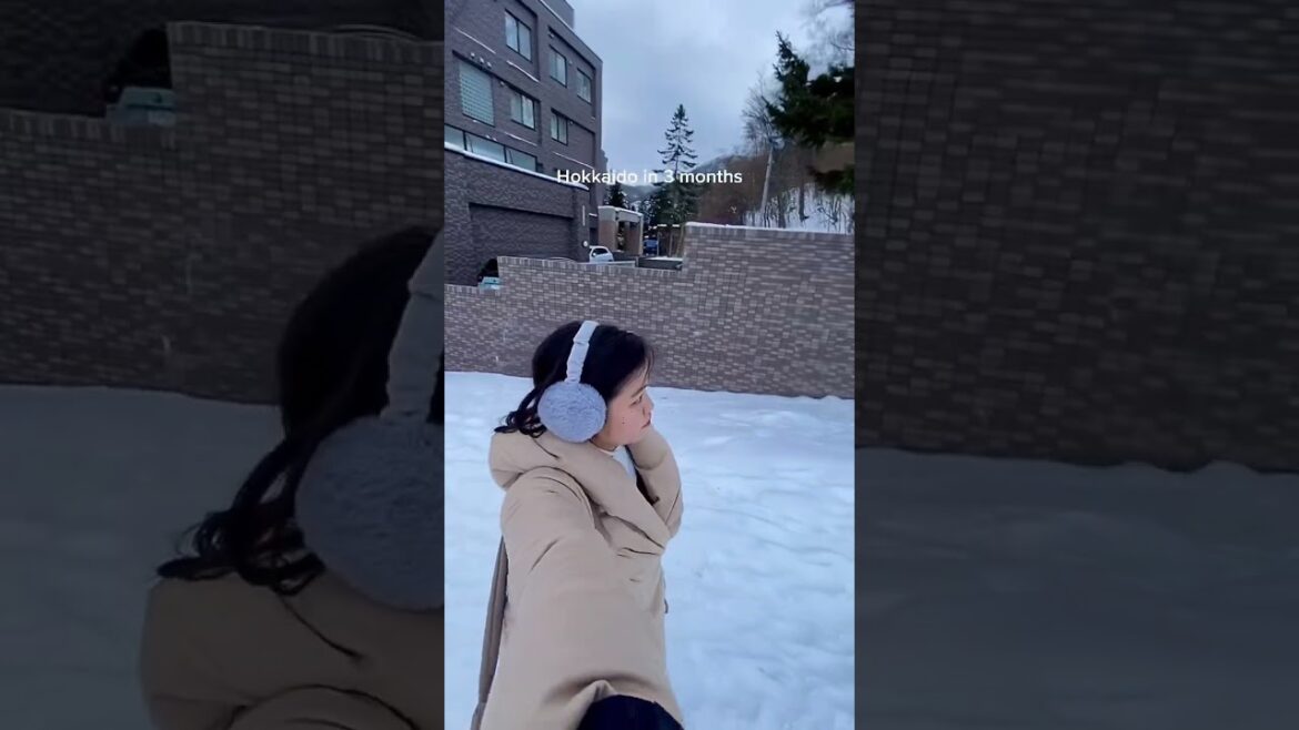 reminder that this will be hokkaido 3 months from now ❄️ reminder that this will be hokkaido 3 months from now ❄️