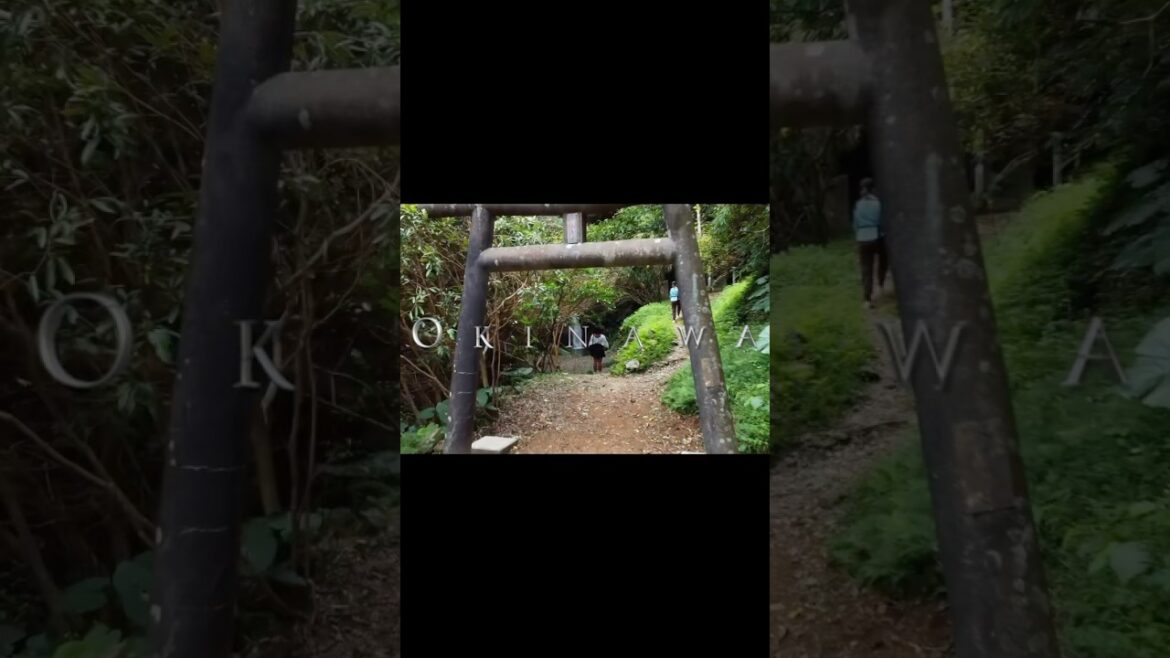 This Is NOT the Japan You Know 🤯 | Okinawa Travel This Is NOT the Japan You Know 🤯 | Okinawa Travel