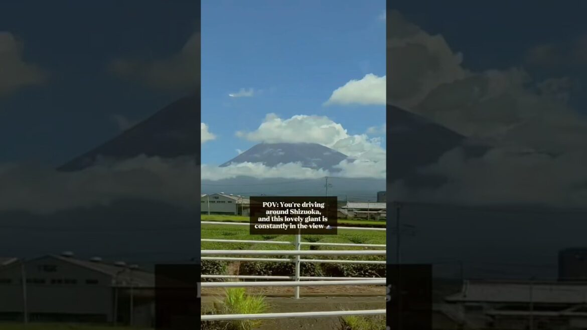 POV: Mt. Fuji is Your Co-Pilot in Shizuoka 🗻