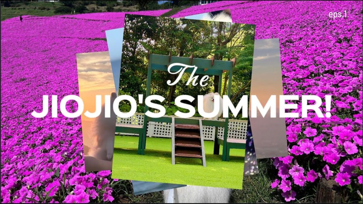 【狗狗夏日Vlog】海滨公园、狗狗度假村、Mother牧场露营 Inage Seaside Park, dog-friendly resort, camping at Mother Farm~ 【狗狗夏日Vlog】海滨公园、狗狗度假村、Mother牧场露营 Inage Seaside Park, dog-friendly resort, camping at Mother Farm~