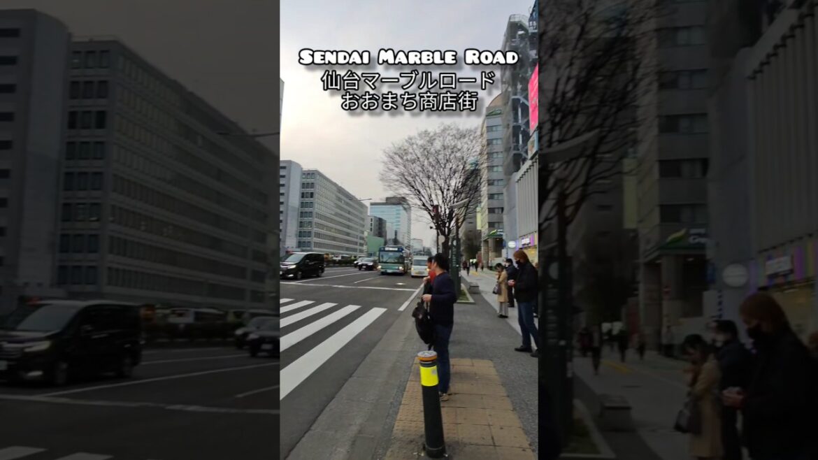 Strolling down shotengai in Sendai #Sendai #MarbleRoad #Shotengai #JapanTravel #VisitSendai #Tohoku