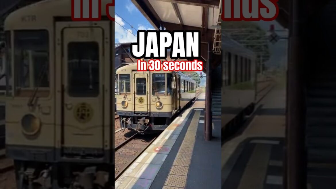 Japan 🌸 In 30 Seconds | 🇯🇵 Shrine/Temples & Culture #ytshorts #fypシ #japan #yt #asian Japan 🌸 In 30 Seconds | 🇯🇵 Shrine/Temples & Culture #ytshorts #fypシ #japan #yt #asian