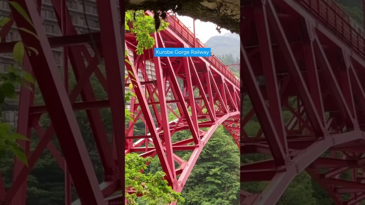 Forget Tokyo, Osaka & Kyoto for a second… Discover Toyama Forget Tokyo, Osaka & Kyoto for a second… Discover Toyama