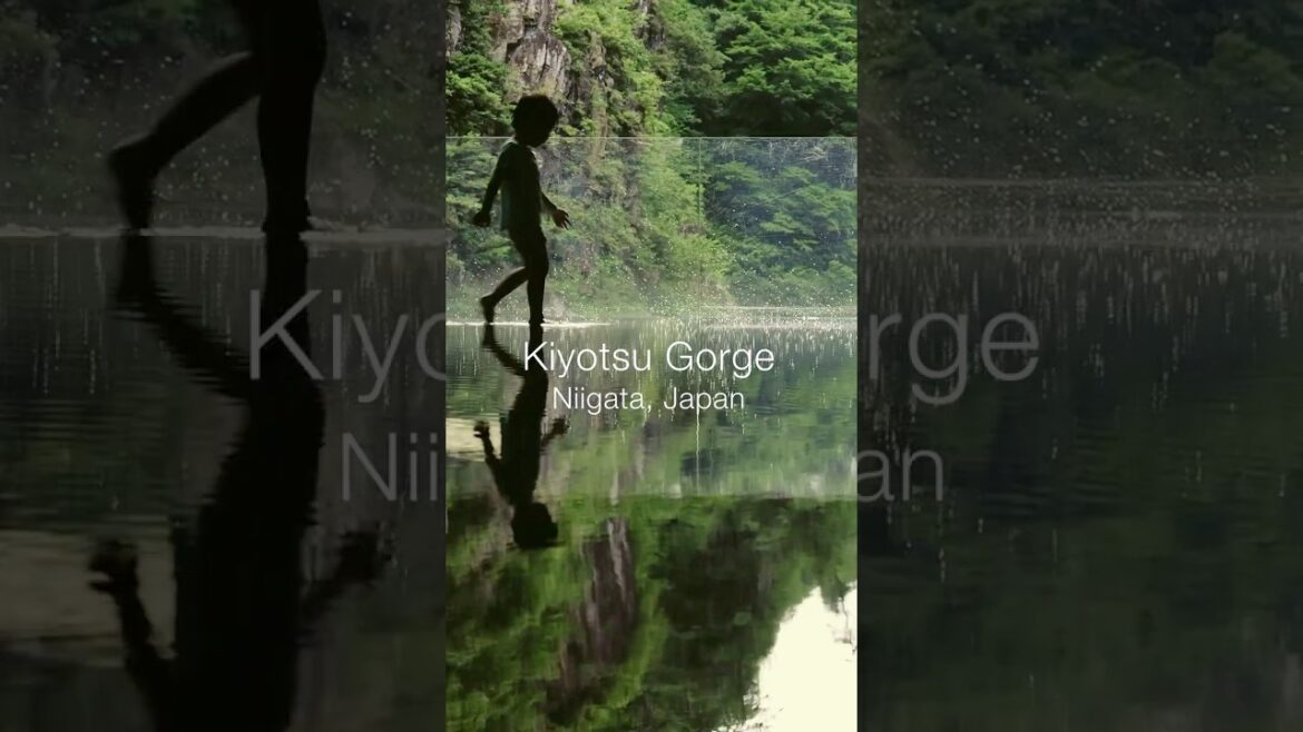 Art in Japan's Mountains – Echigo-Tsumari, Niigata