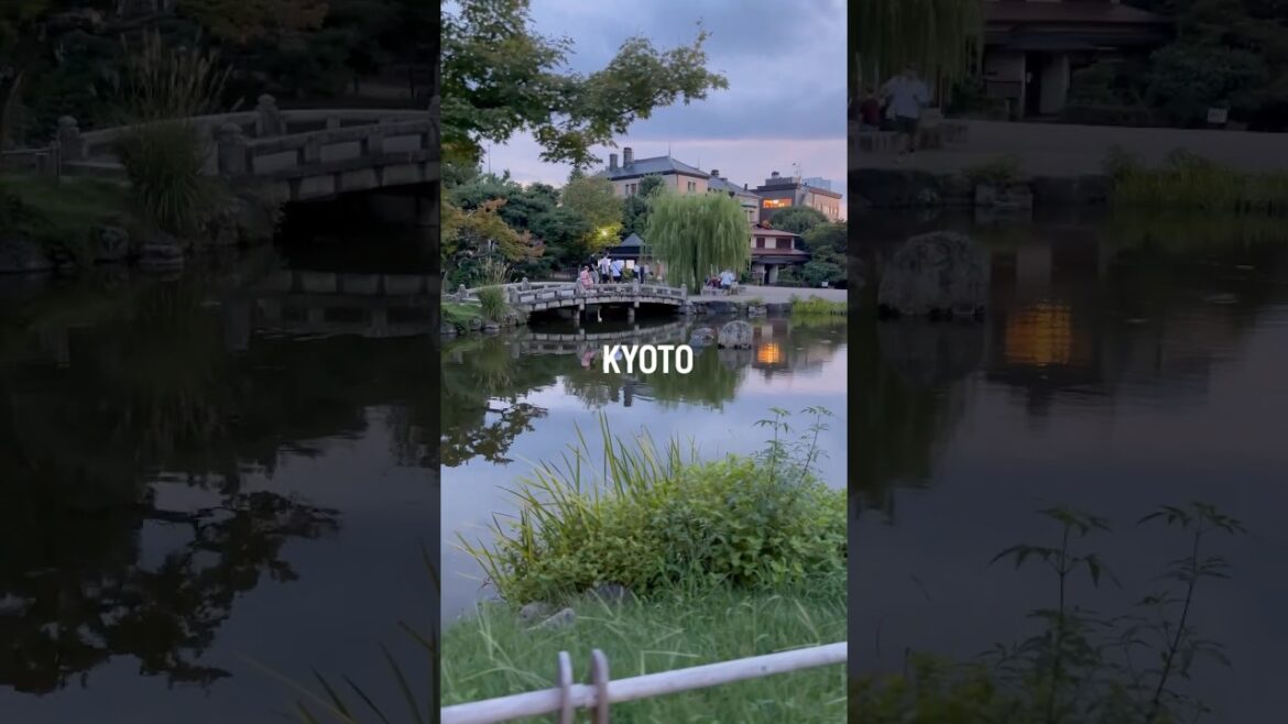 10 seconds in Kyoto / Nara Montage — blink and you’ll miss it. 10 seconds in Kyoto / Nara Montage — blink and you’ll miss it.