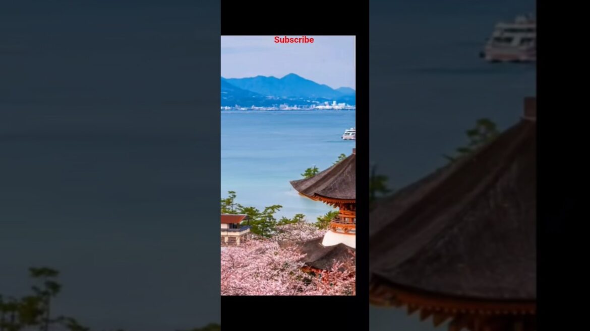 Top 5 visiting places in Osaka.#shorts #ytshorts #shortvideo #travel #explore #hit #viral Top 5 visiting places in Osaka.#shorts #ytshorts #shortvideo #travel #explore #hit #viral