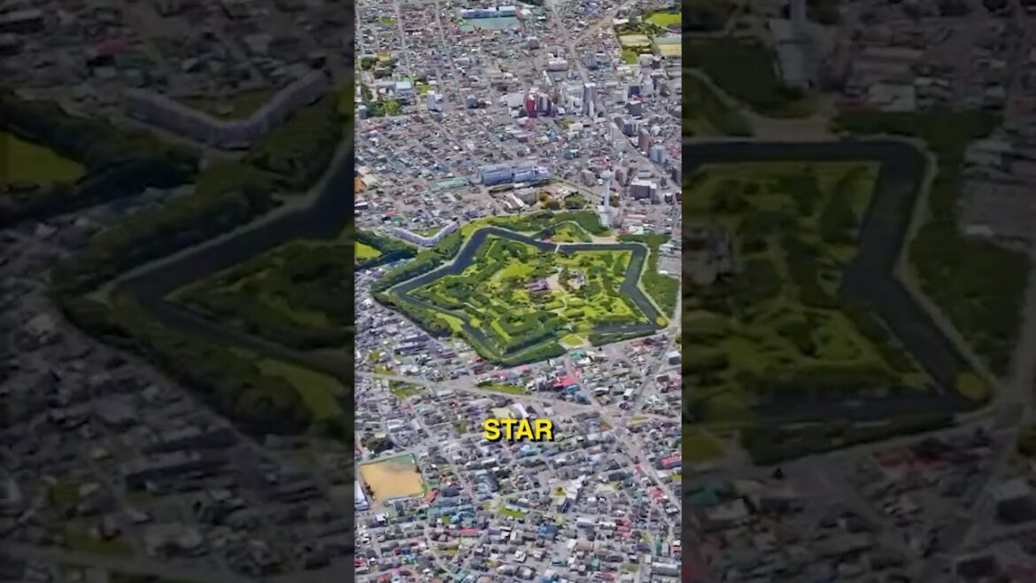 Exploring Hakodate on Foot: 17 Miles, a Star-Shaped Park & Monkeys 🐒#japan #travel #youtubeshorts Exploring Hakodate on Foot: 17 Miles, a Star-Shaped Park & Monkeys 🐒#japan #travel #youtubeshorts