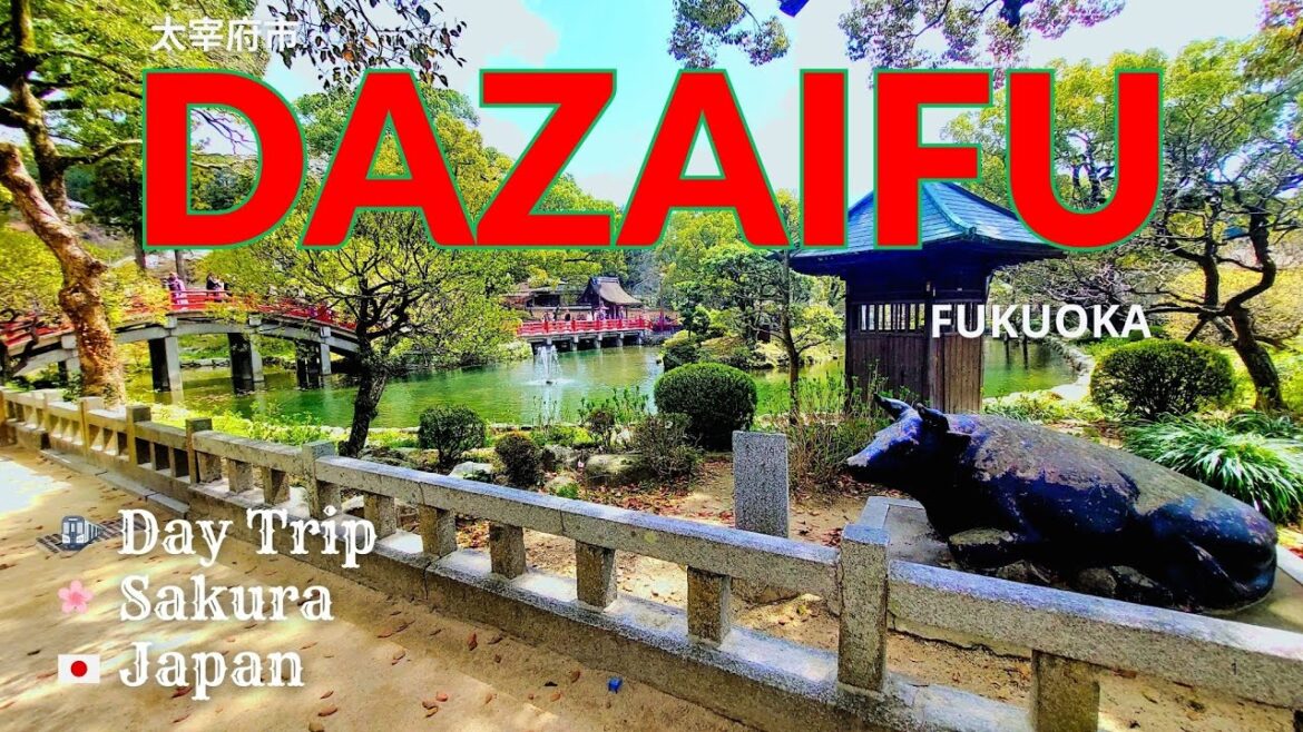 π―π΅ Dazaifu Fukuoka I Day Trip β’ Sakura β’ Japan πΈ π―π΅ Dazaifu Fukuoka I Day Trip β’ Sakura β’ Japan πΈ